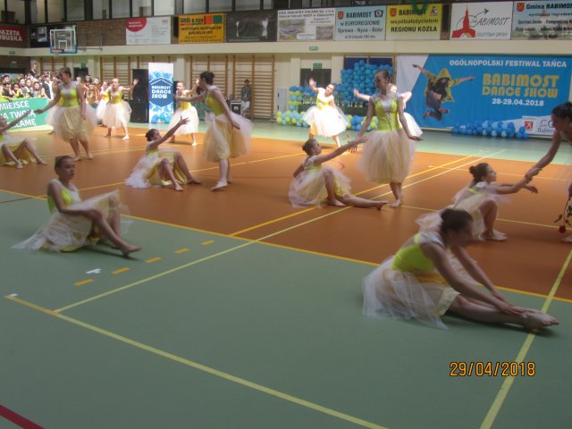 turta 441